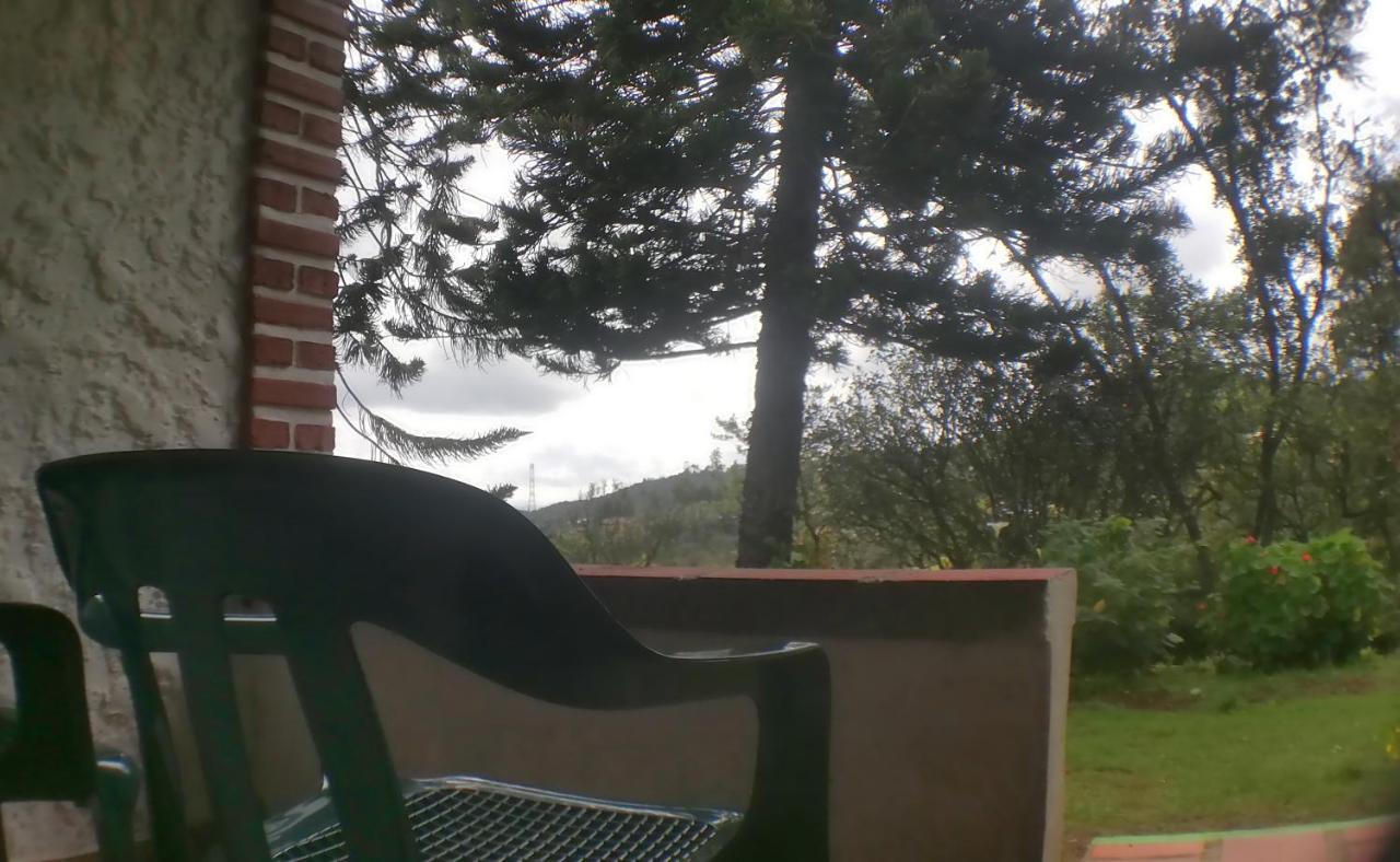 Al Bosque Hostel & Glamping Santa Elena  Quarto foto